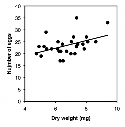 Graph of number of eggs vs. amphipod weight