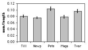 Bar graph of mussel data