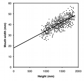 Mouth width vs. height