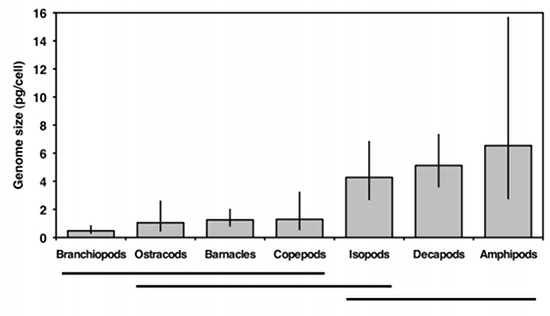 Means of crustacean genome sizes