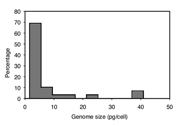 Histogram of decapod genome sizes