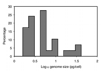 Histogram of log-transformed decapod genome sizes