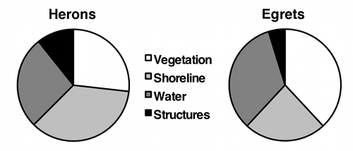 Pie graph