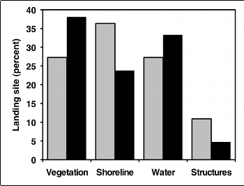 Bar graph