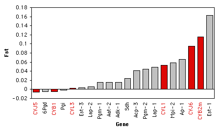 Oyster Fst graph