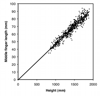 Middle finger length vs. height