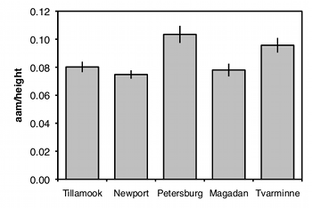 Bar graph of mussel data