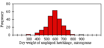 Amphipod weight histogram