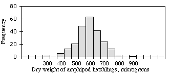 Amphipod weight histogram