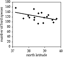 Bird diversity and latitude