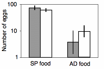 Graph of eggs laid by weevils