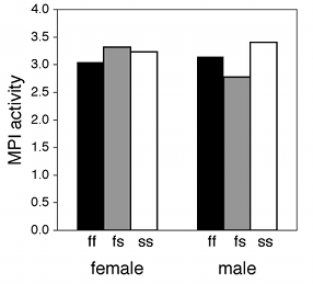 Graph of MPI activity in amphipods